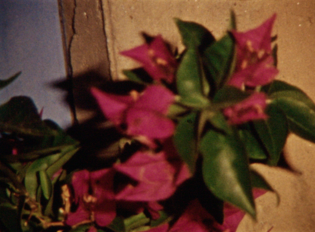 ATamaforEktachrome_ViktoriaSchmid_Still3Courtesysixpackfilm