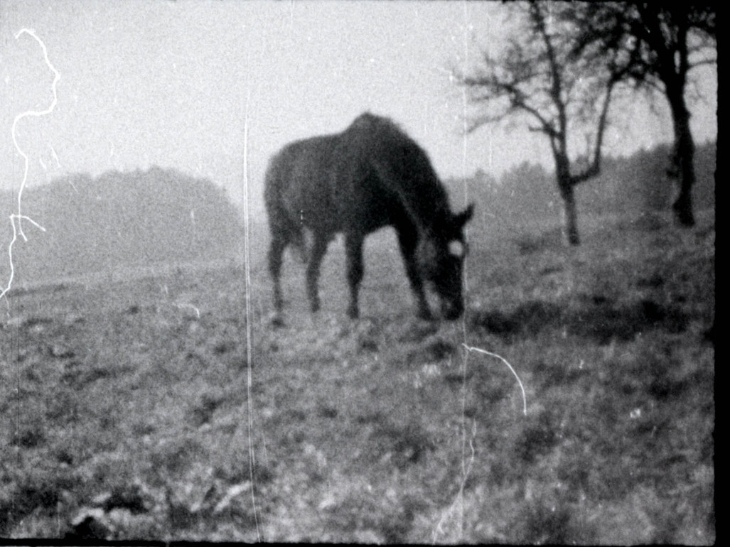 Golan_ViktoriaSchmid_Still1_Courtesysixpackflim