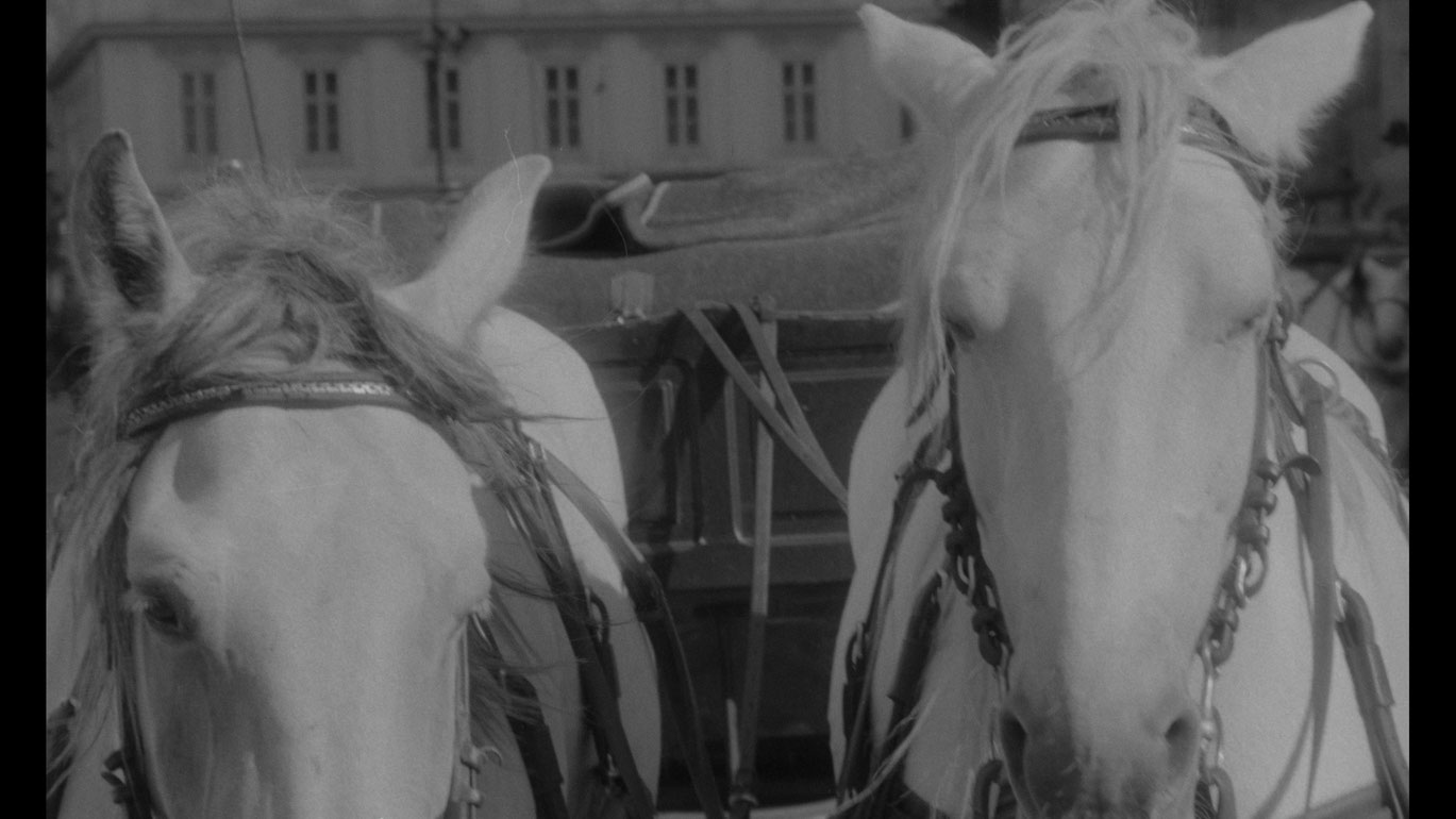 ViktoriaSchmid_AchtungHallo35_CourtesySixpackfilm2